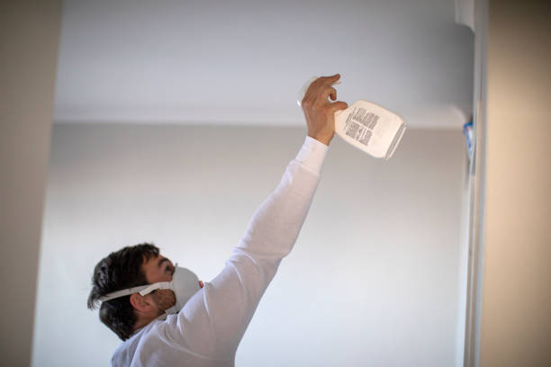 Office Mold Removal Services in Mount Ayr, IA